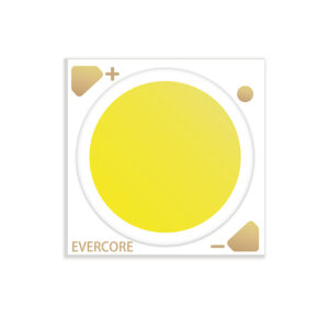 EVERCORE High efficiency COB-SV5 Series 180lm/W