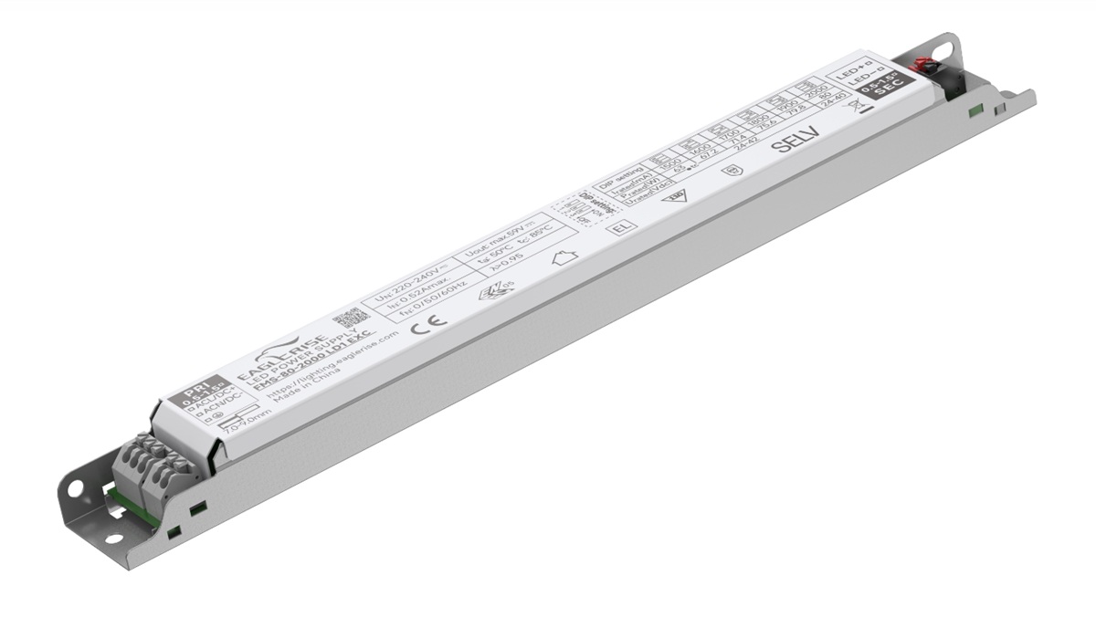 Eaglerise FMS Series Segmented Constant‑Current Linear LED Driver